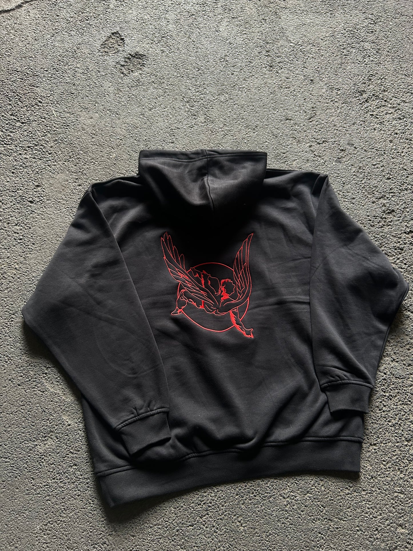 Icarus hoodie