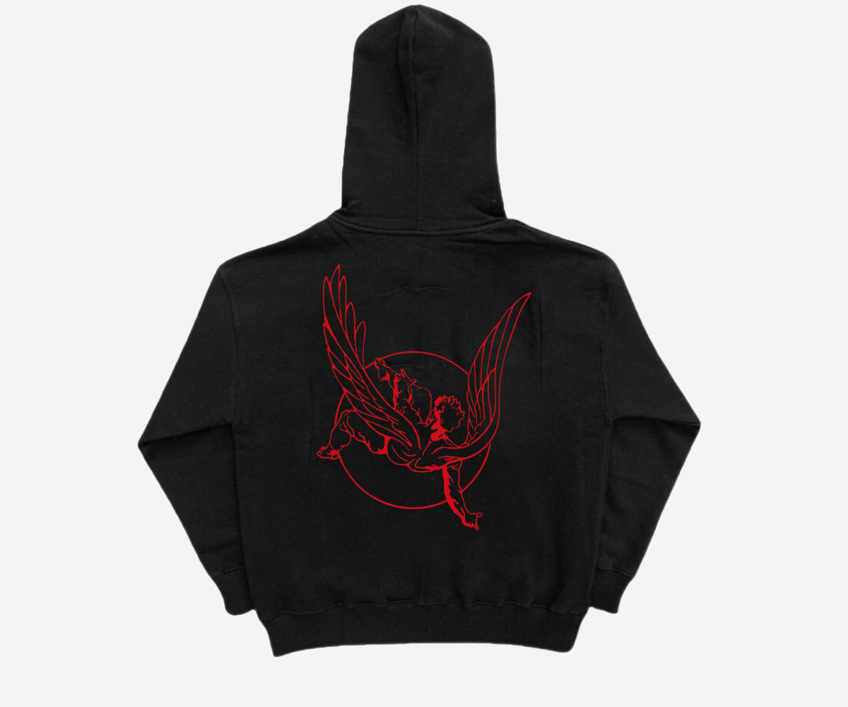 Icarus hoodie